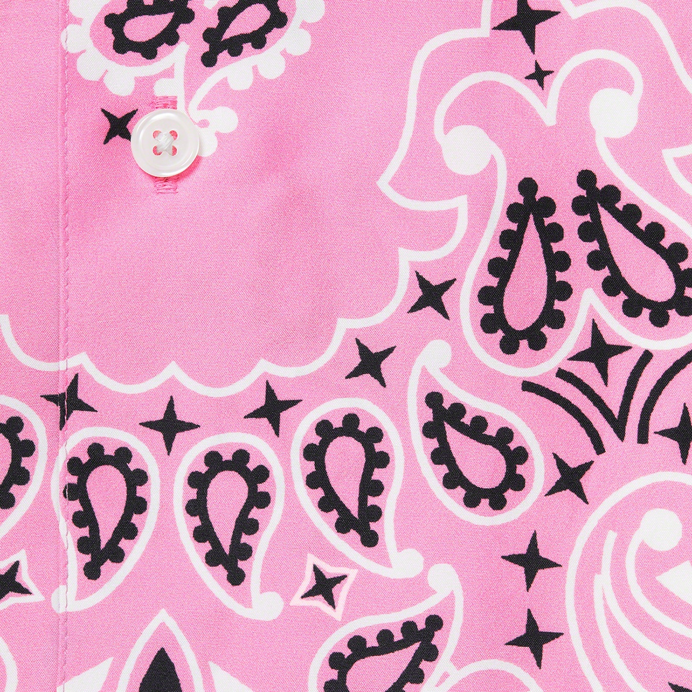Bandana Silk S/S Shirt view 4